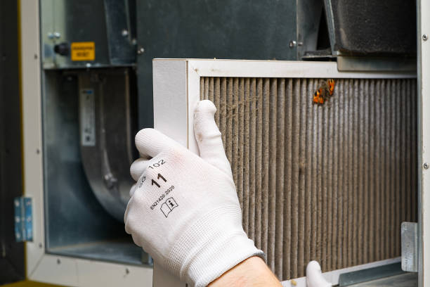 Best Local Air Duct Cleaning Services  in Stevenson, WA